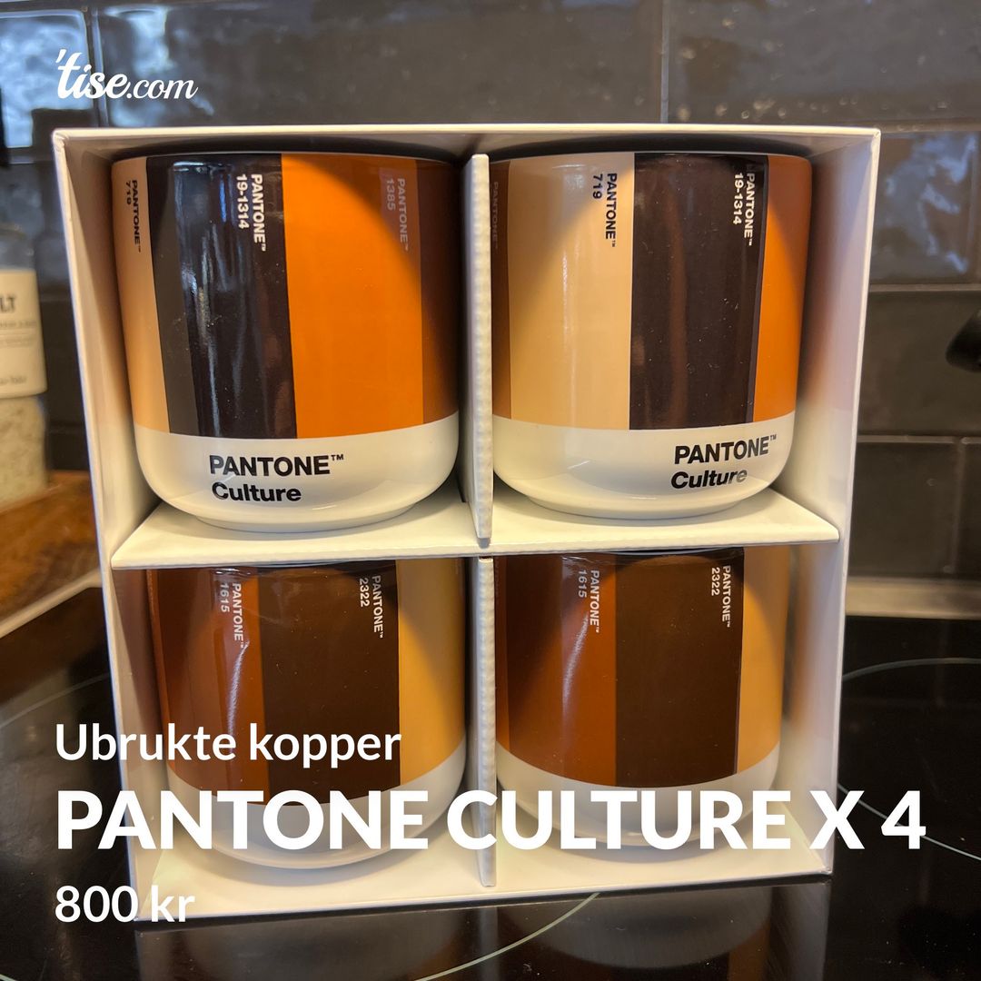 Pantone Culture x 4