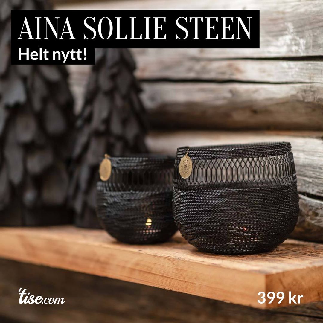 Aina Sollie Steen