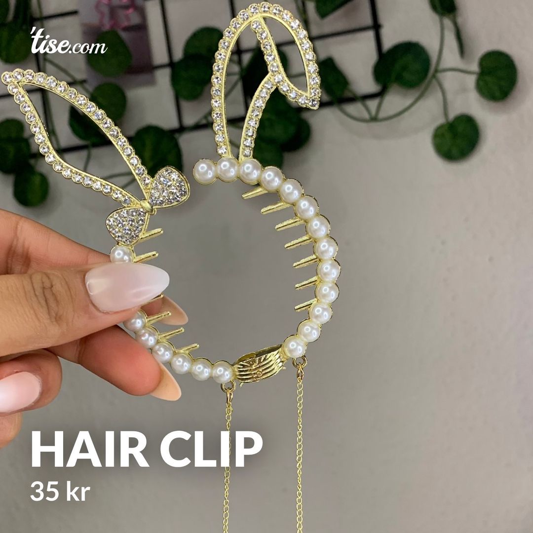 Hair clip