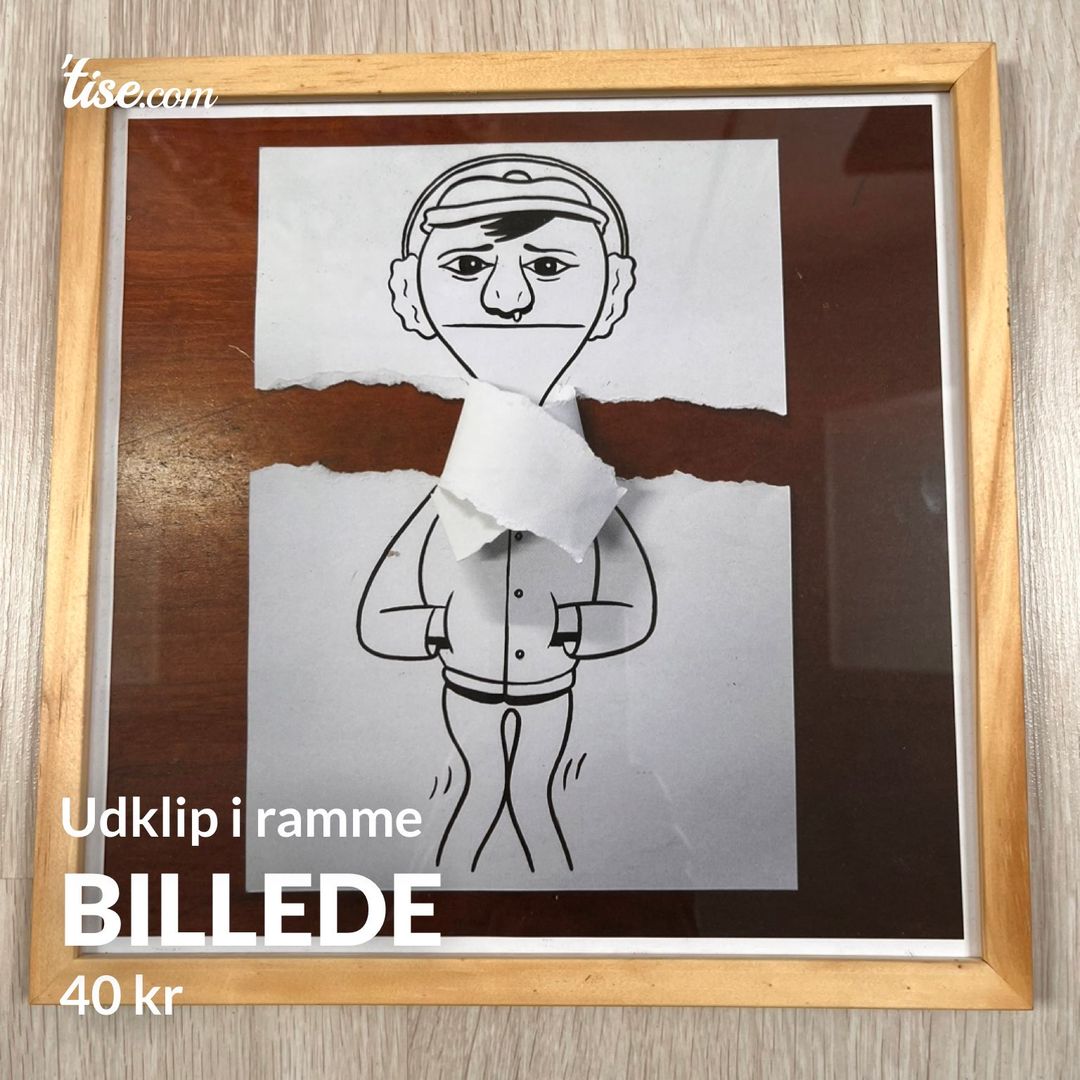 Billede