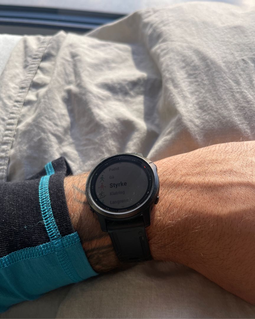 Garmin fenix 6s pro