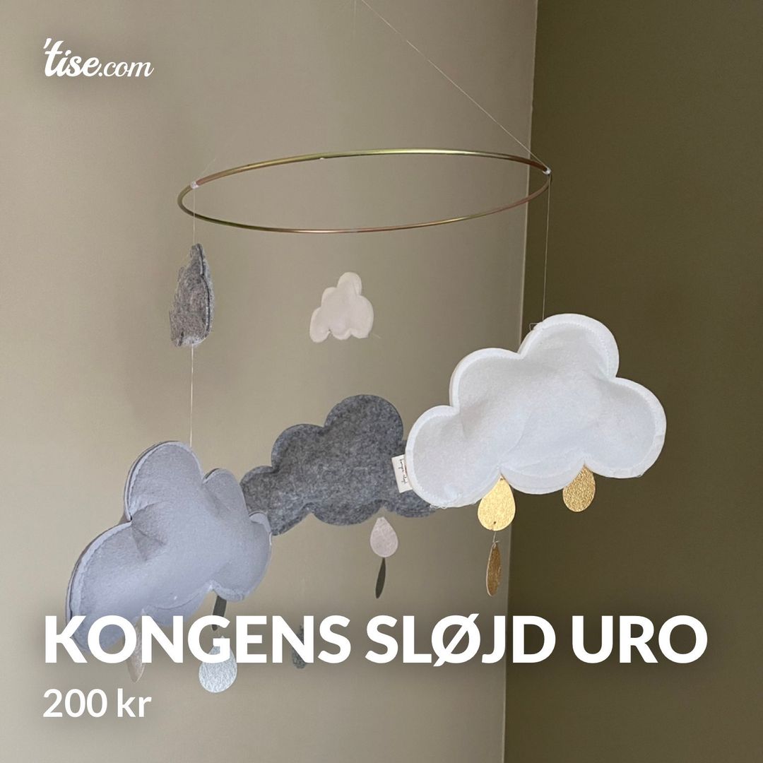 Kongens sløjd uro