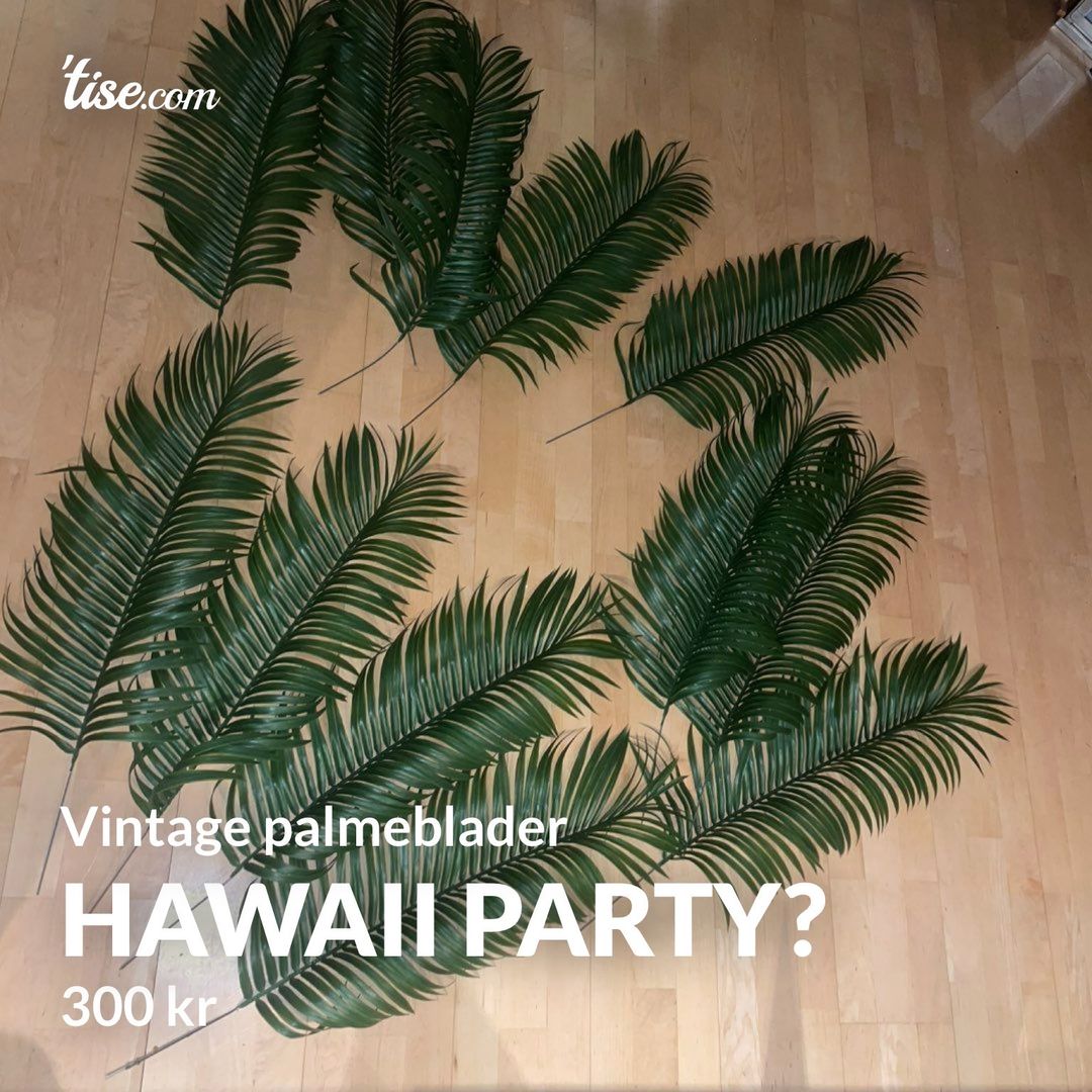 Hawaii party?