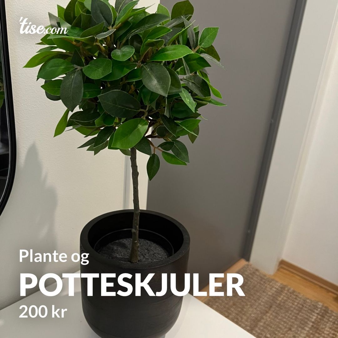 potteskjuler