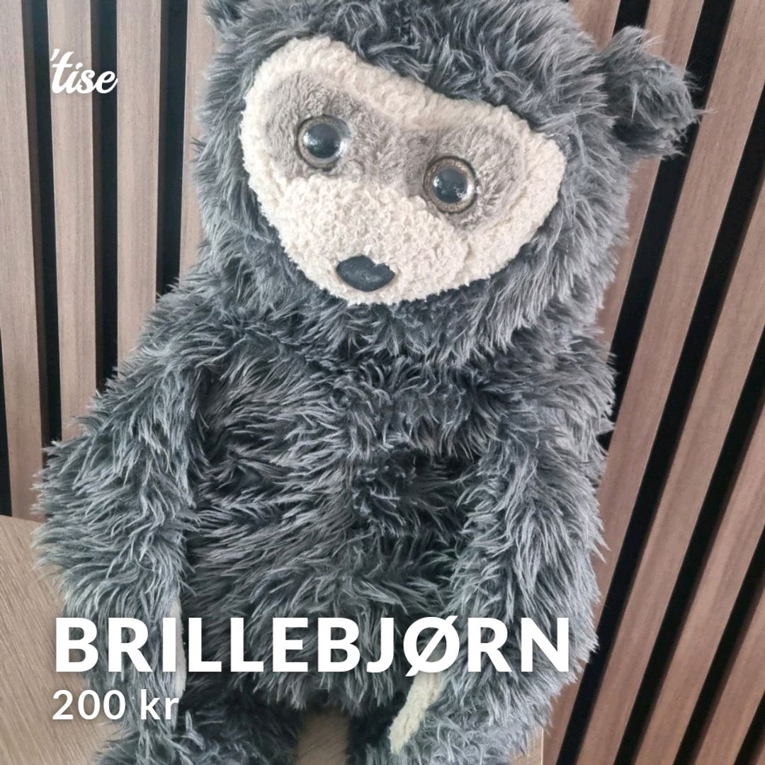 Brillebjørn