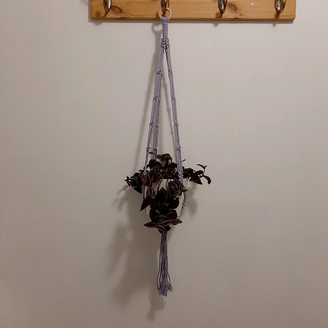 Macrame Plant Hanger