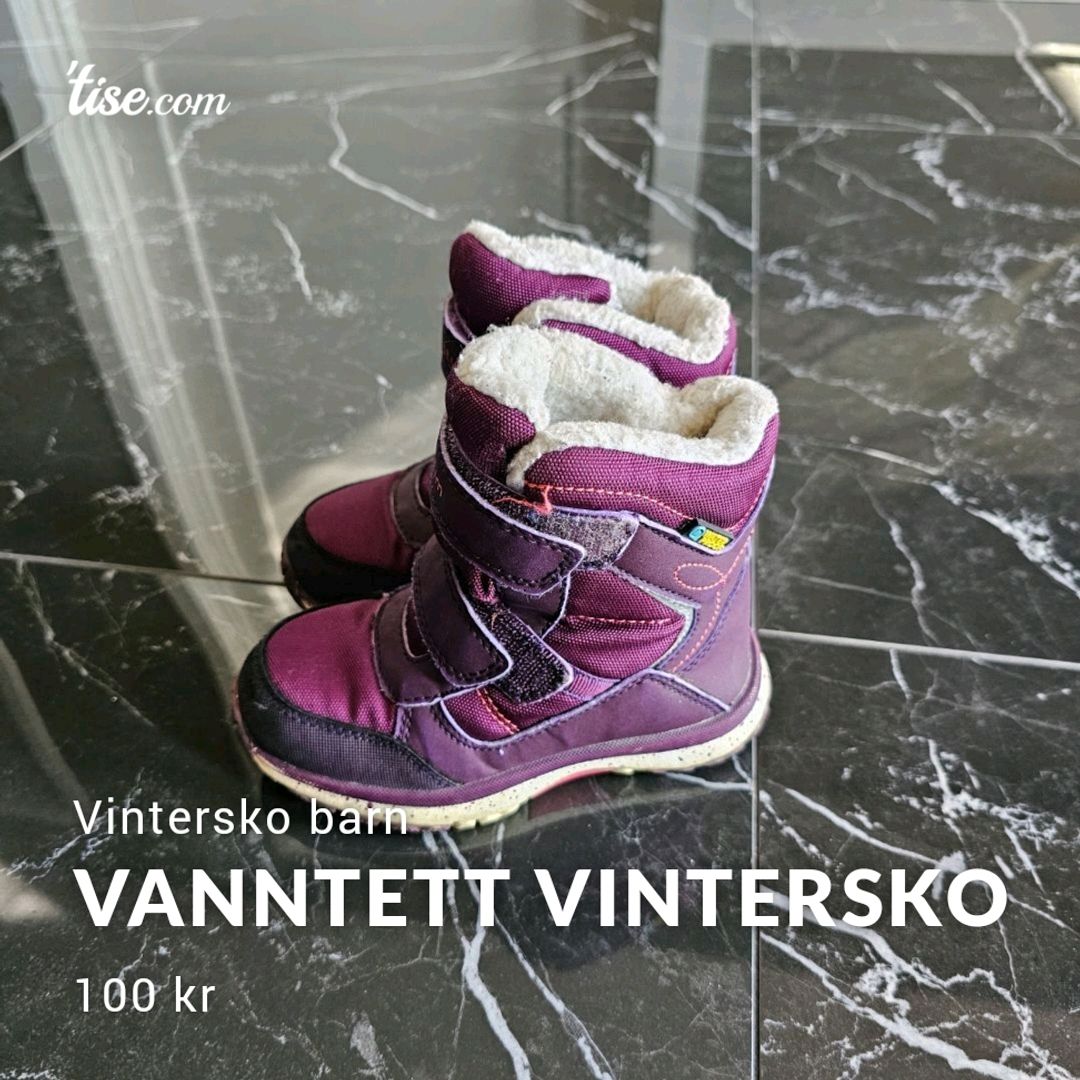 Vanntett Vintersko