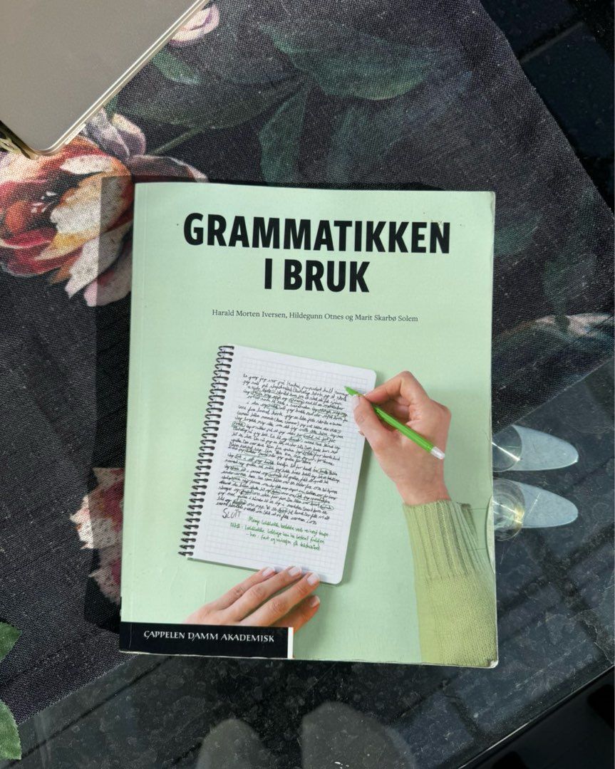 grammatikken i bruk