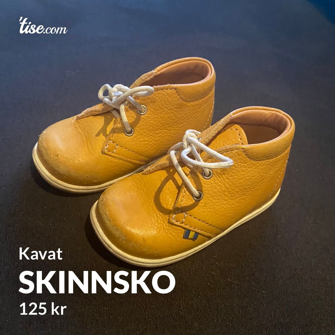 Skinnsko