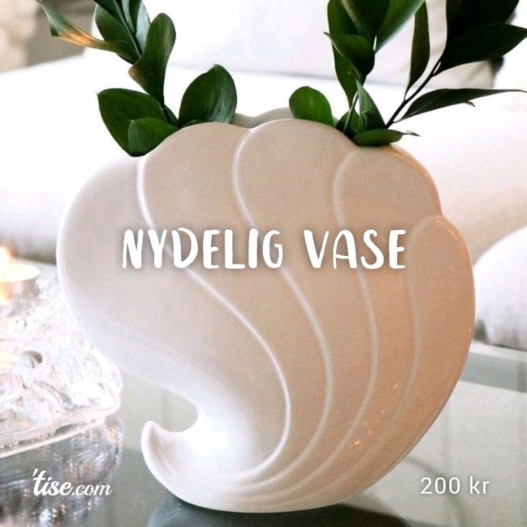 Nydelig Vase