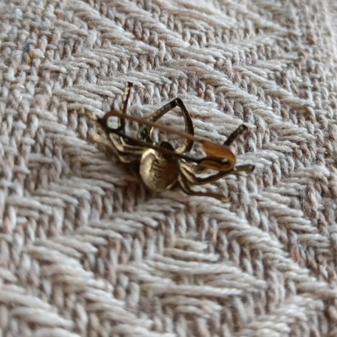 Vintage Spider Pin