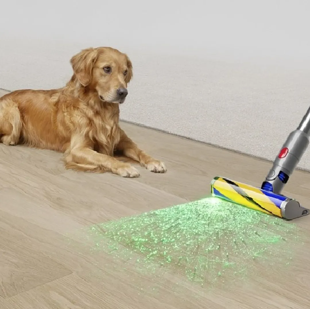 Dyson v15 detect