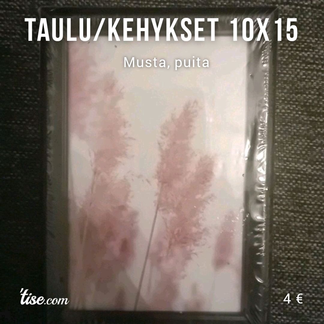 Taulu/kehykset 10x15