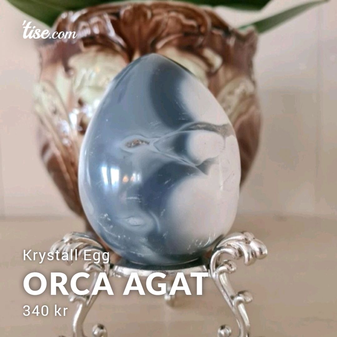 Orca Agat