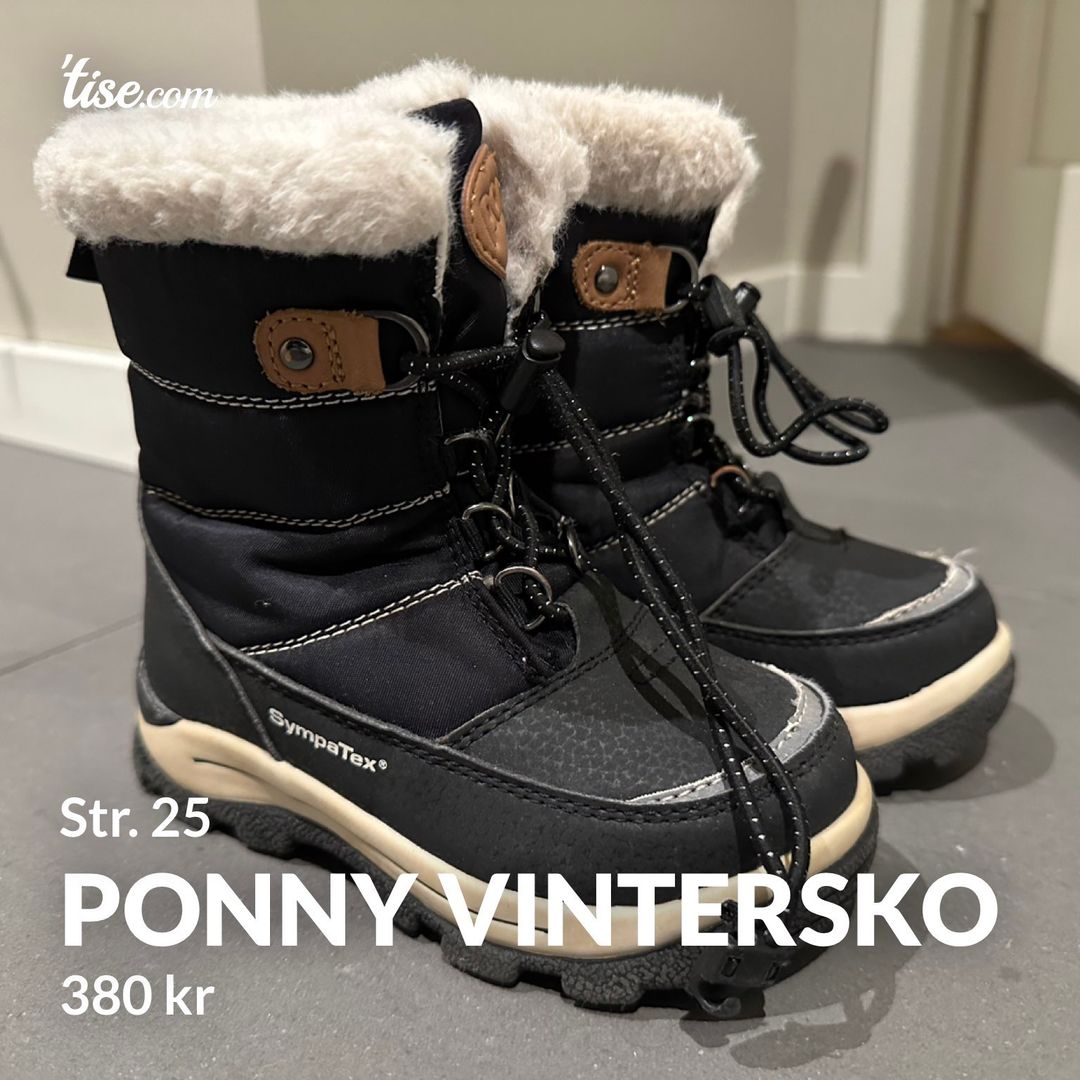 Ponny vintersko