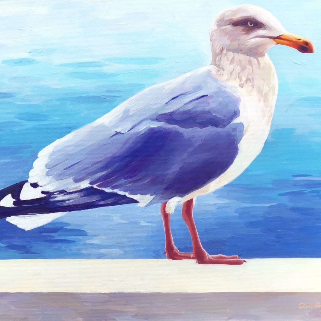 SEAGULL