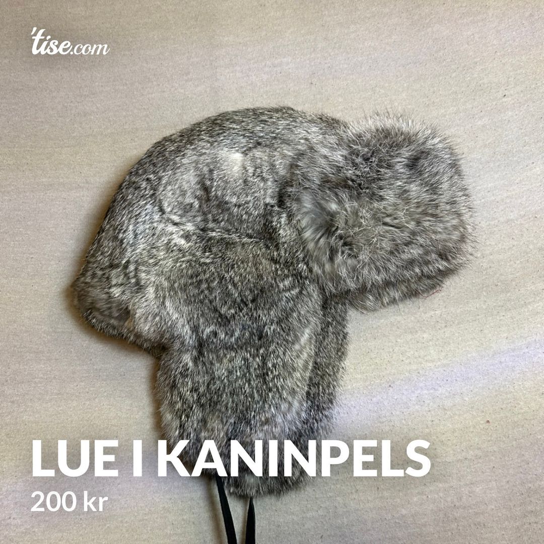 Lue i kaninpels