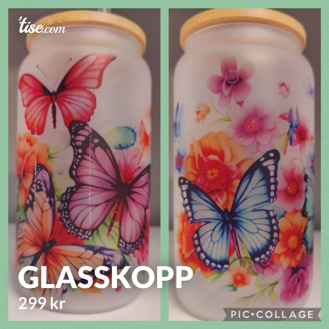 Glasskopp