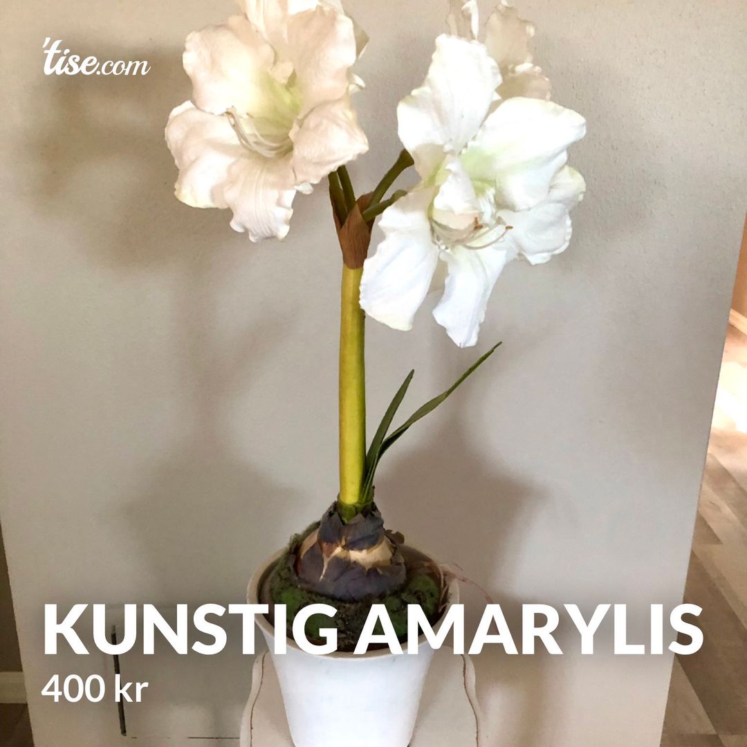 Kunstig Amarylis