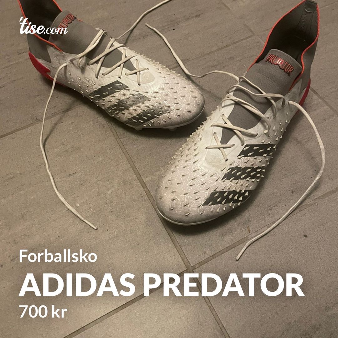 Adidas predator