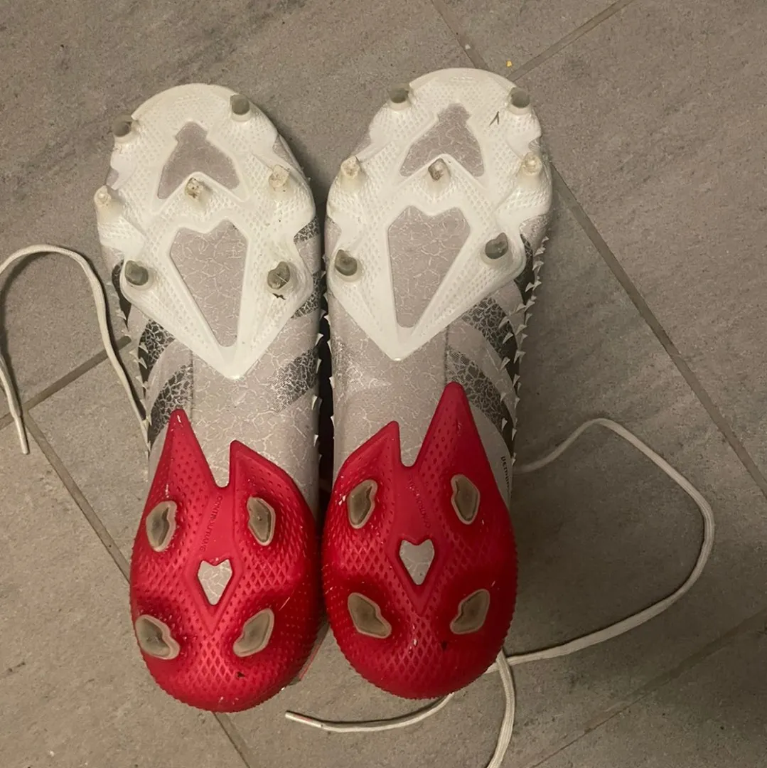 Adidas predator