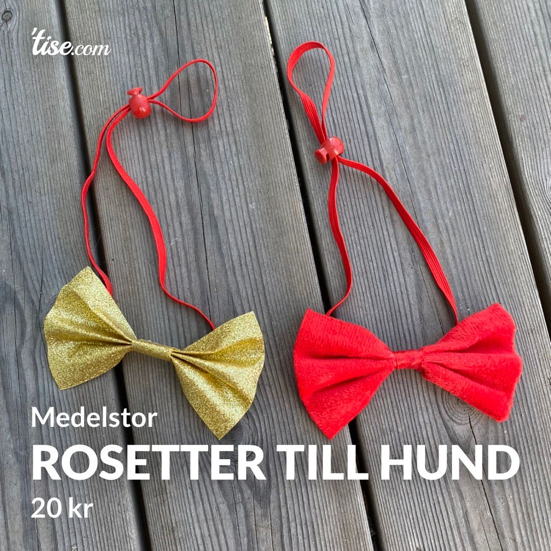 Rosetter till hund