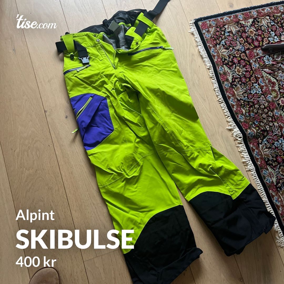 Skibulse