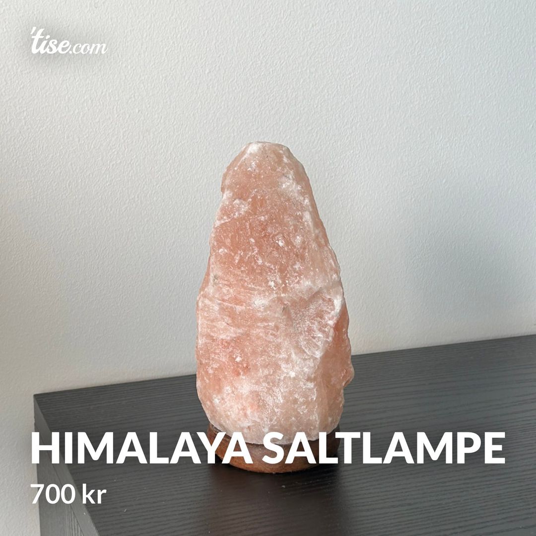 Himalaya saltlampe