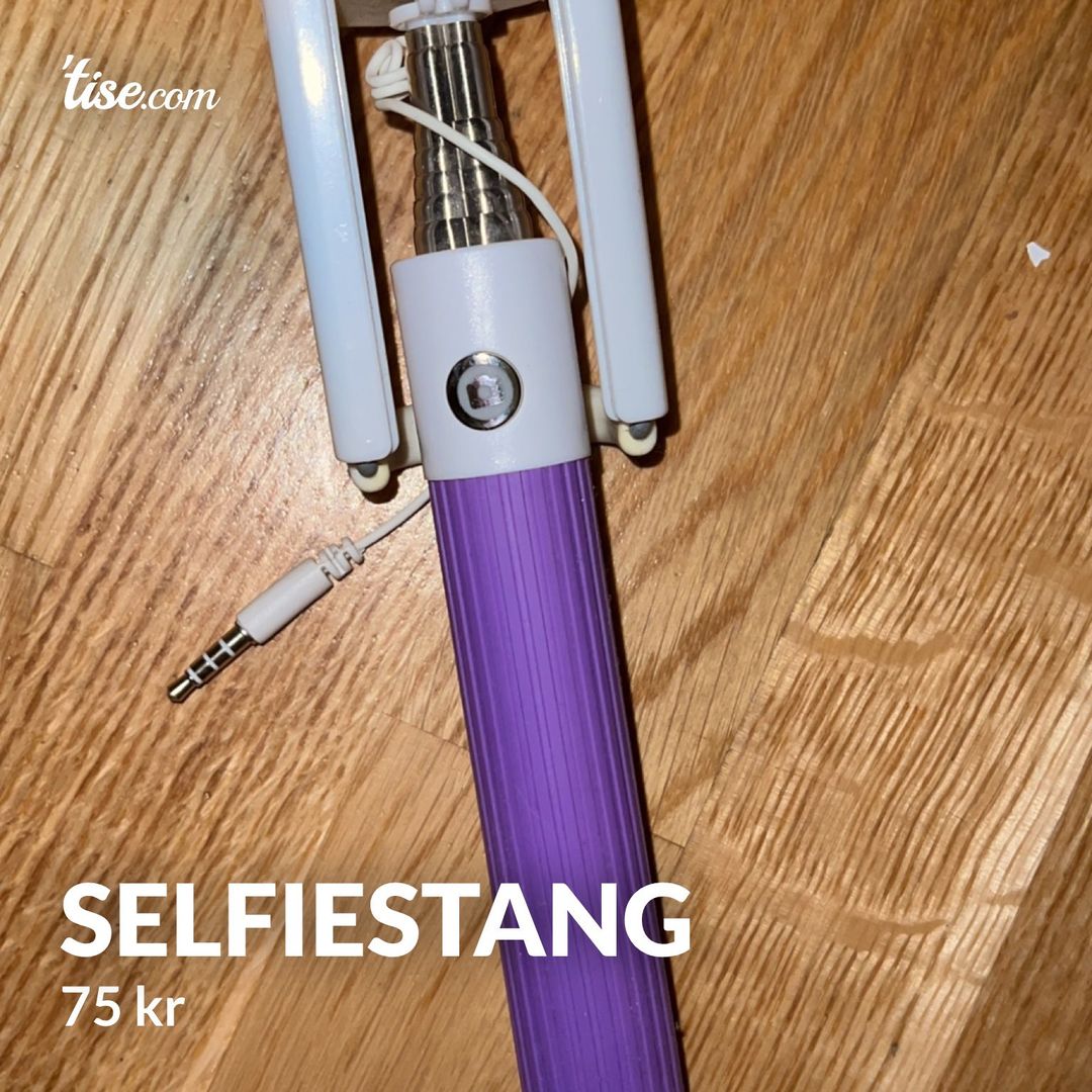 Selfiestang