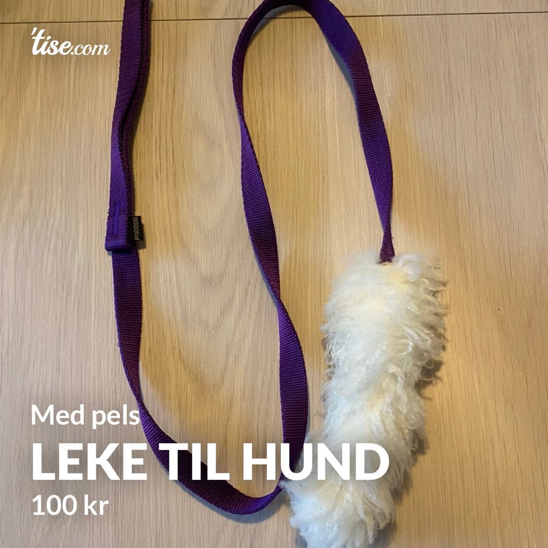 Leke til hund