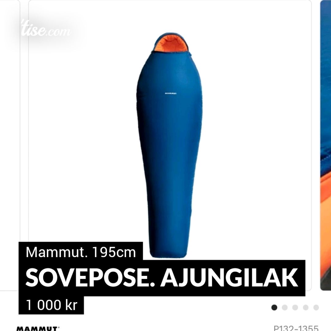 Sovepose Ajungilak