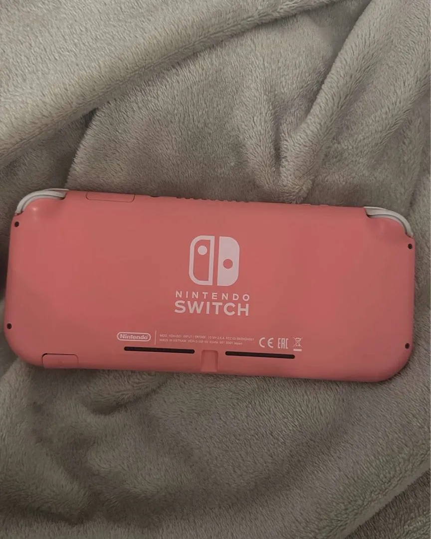 Nintendo switch lite