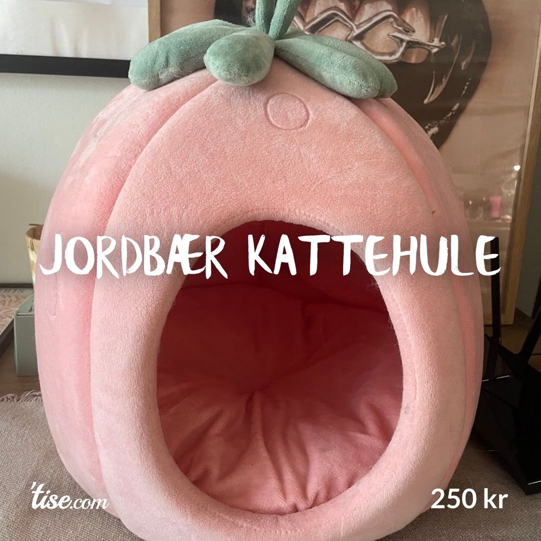 Jordbær kattehule