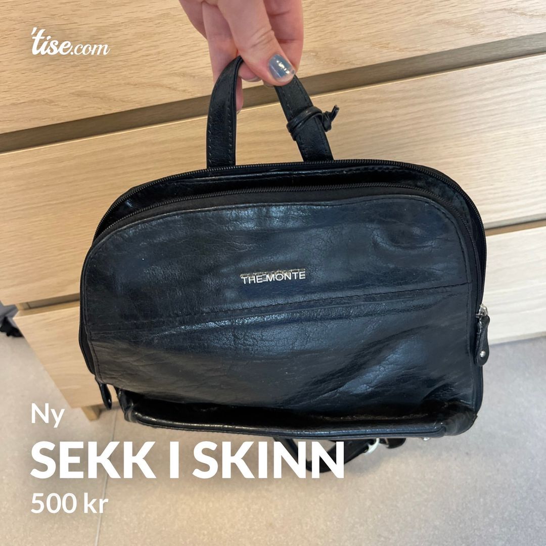 Sekk i skinn