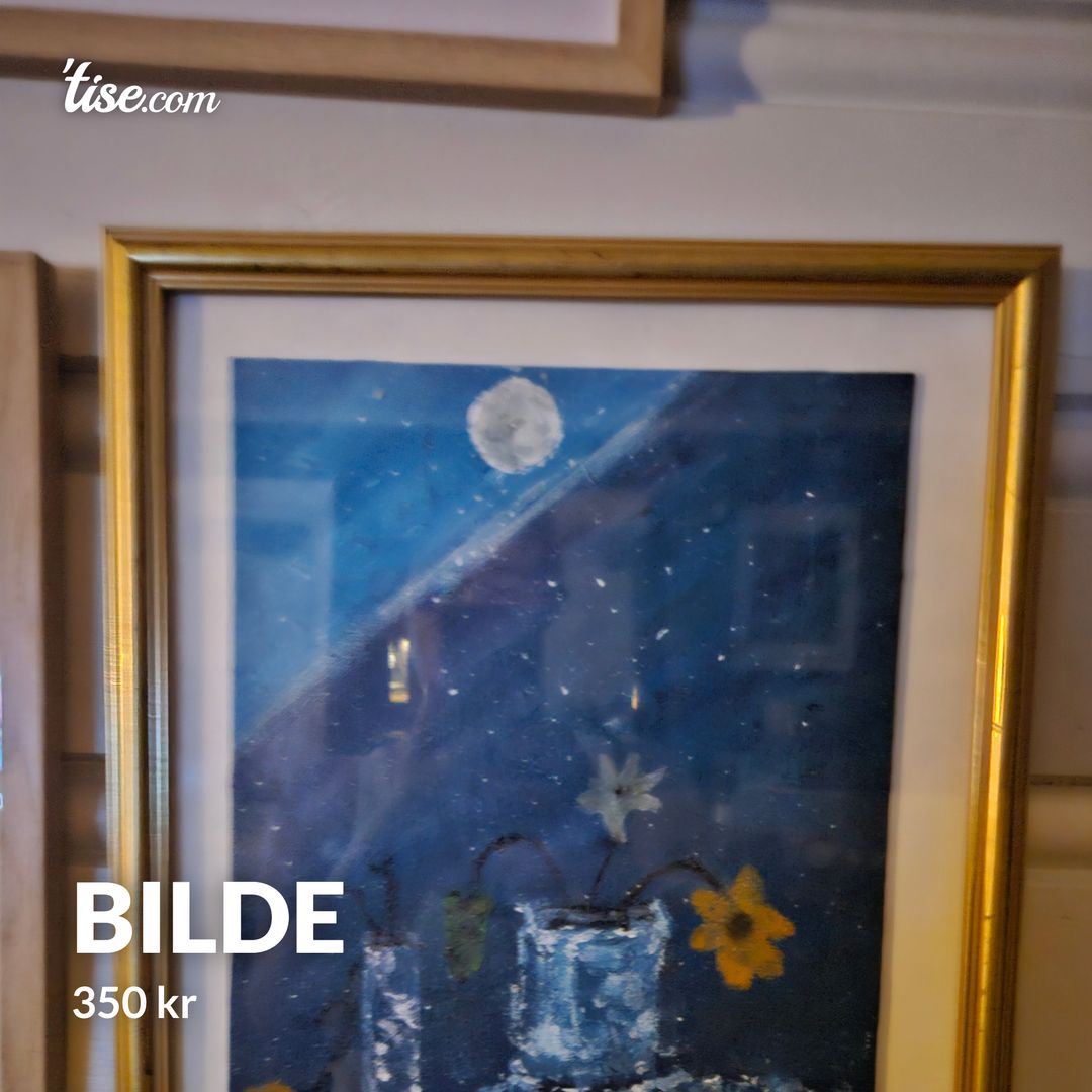 Bilde