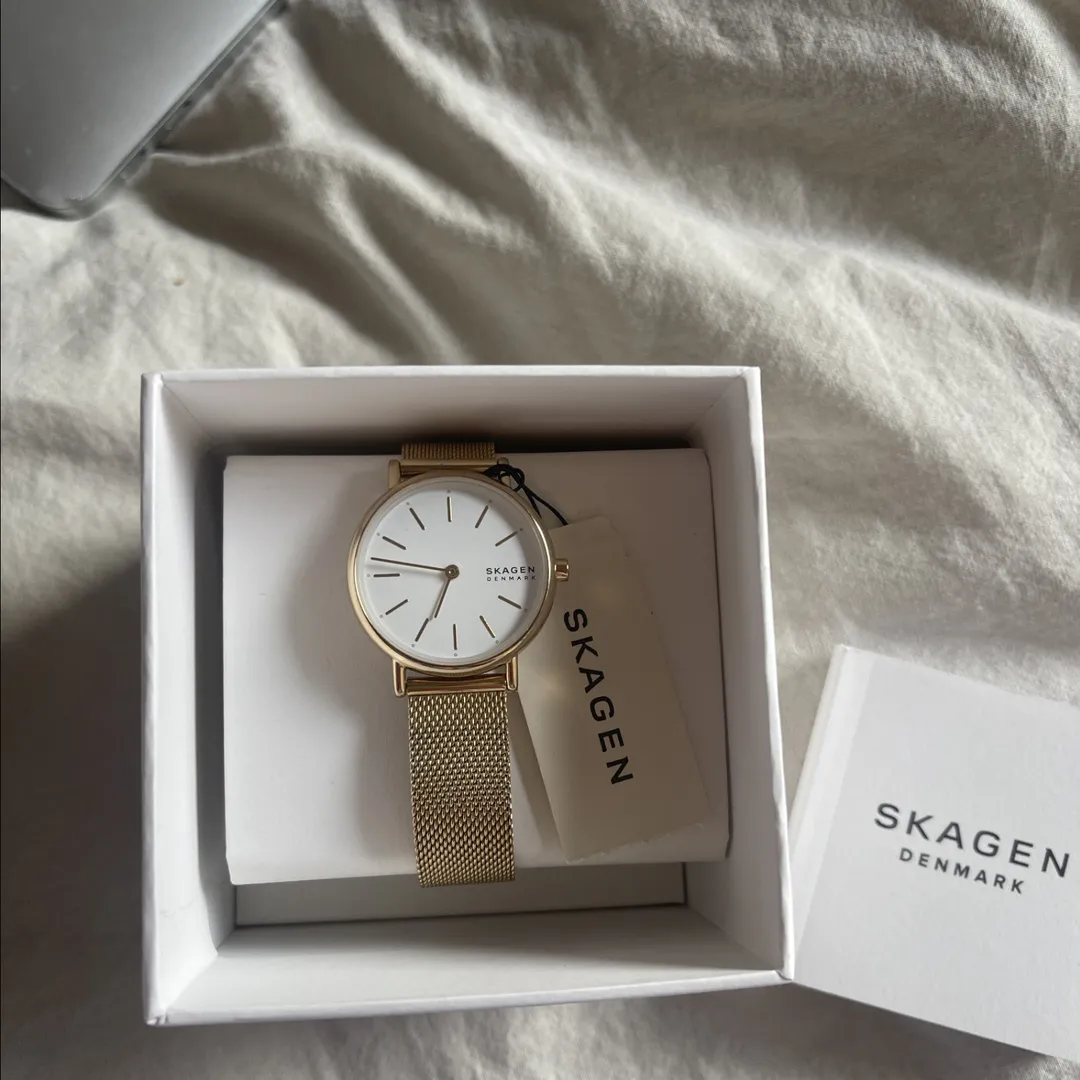 Skagen Ur