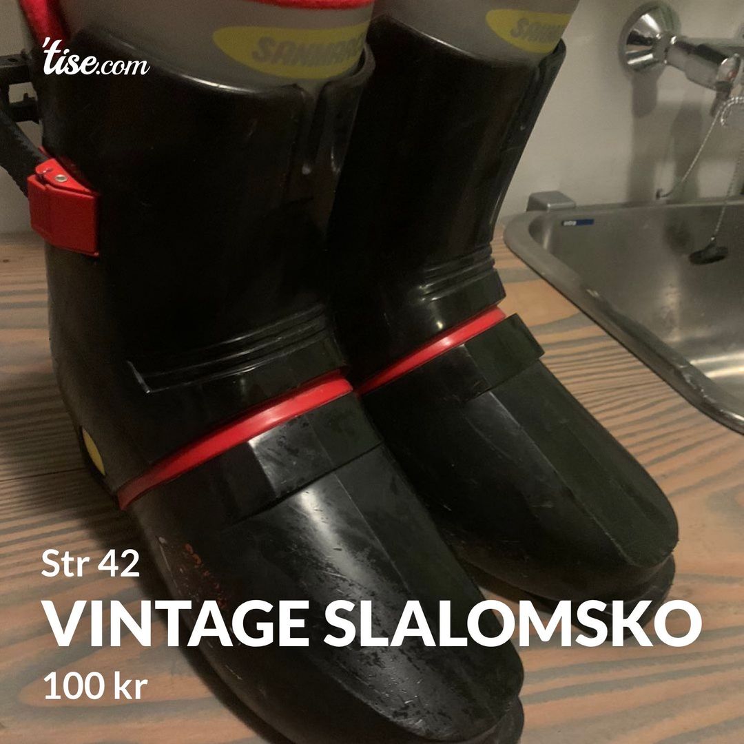 Vintage slalomsko