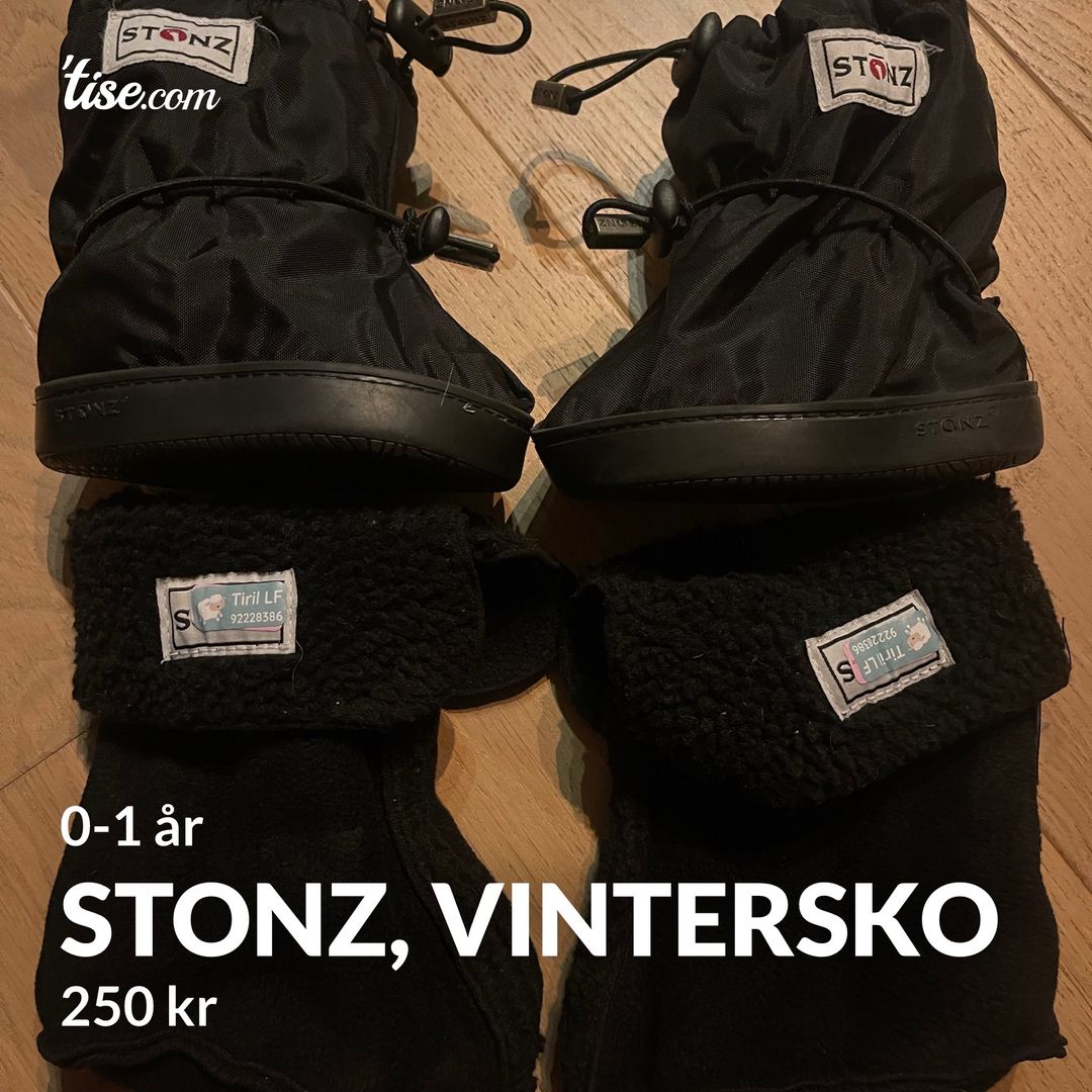 Stonz vintersko