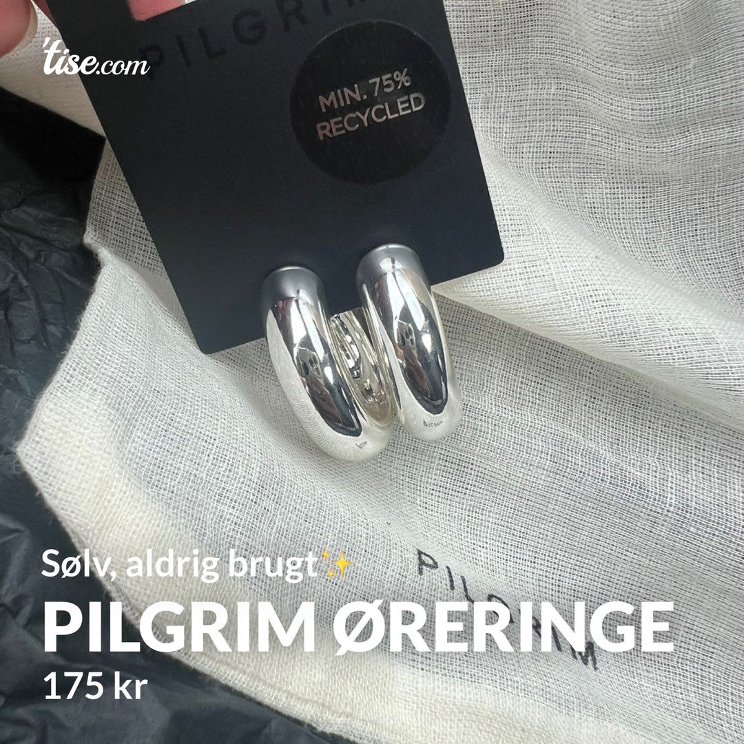 Pilgrim øreringe