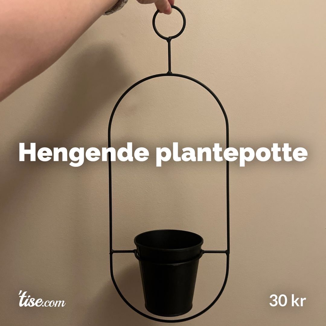 Hengende plantepotte