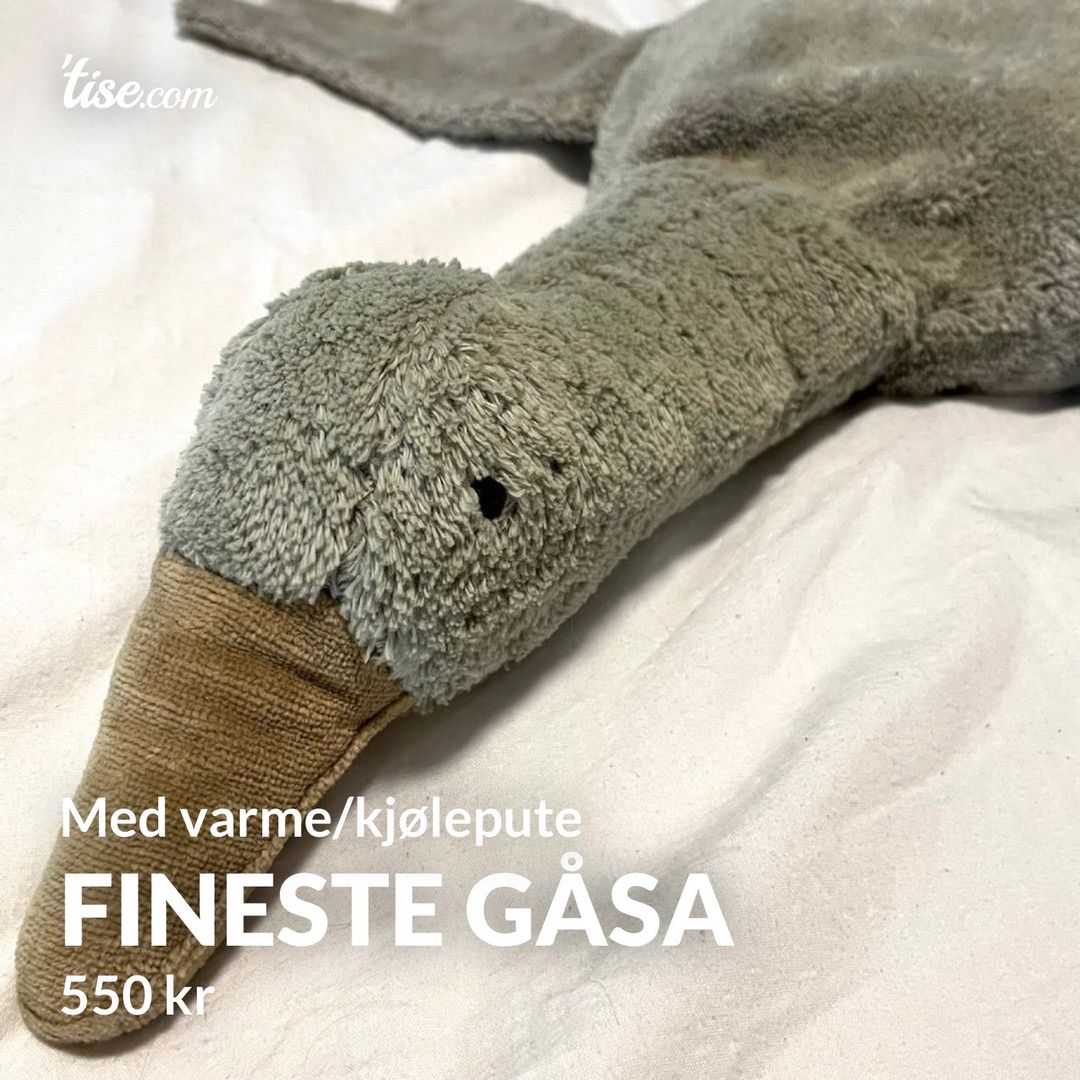 Fineste gåsa