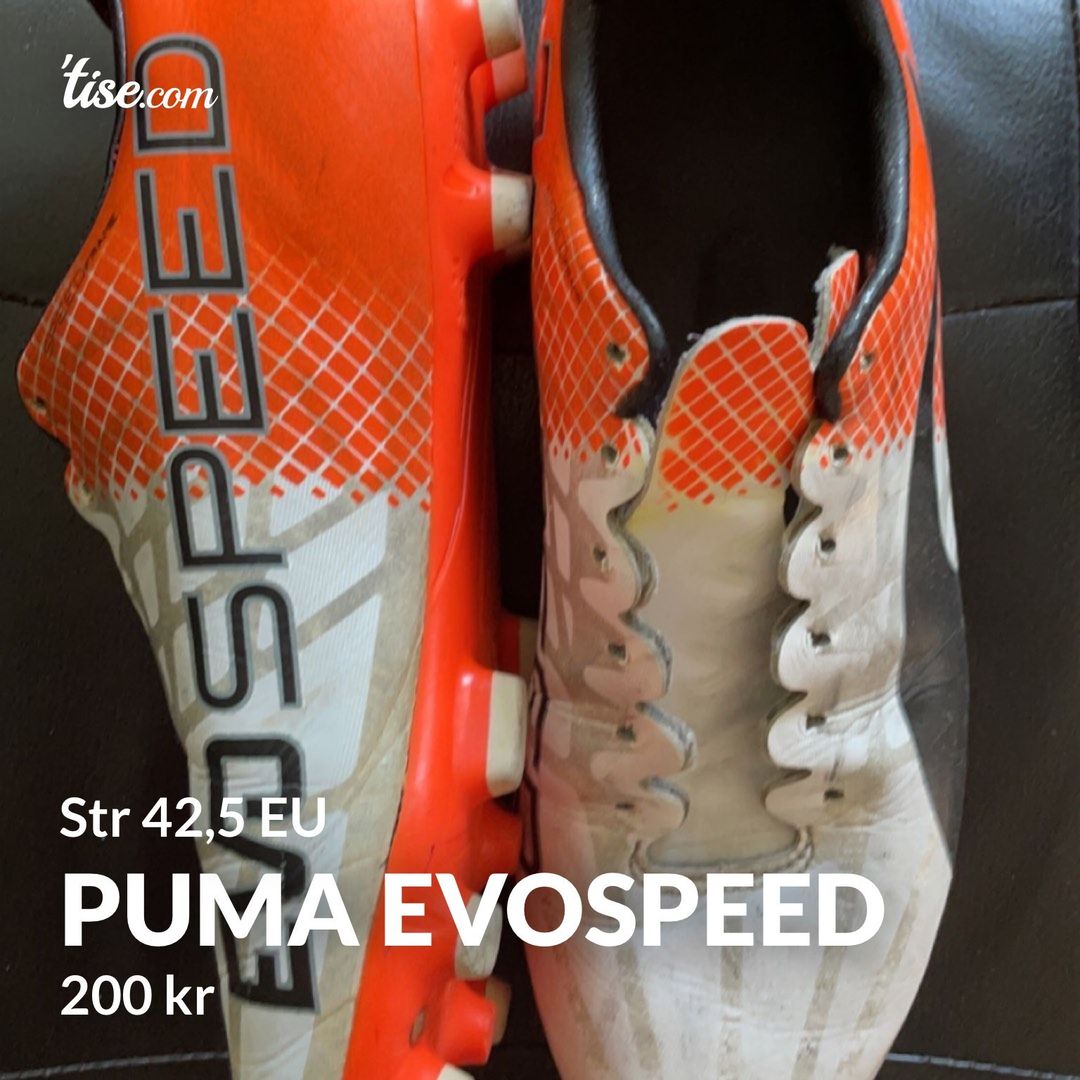 Puma Evospeed