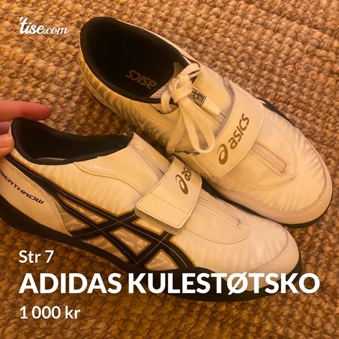 Adidas kulestøtsko