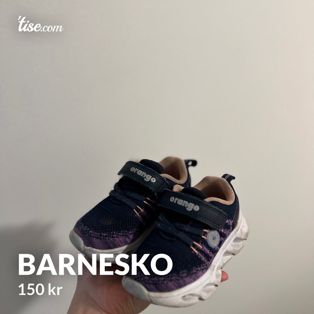 Barnesko