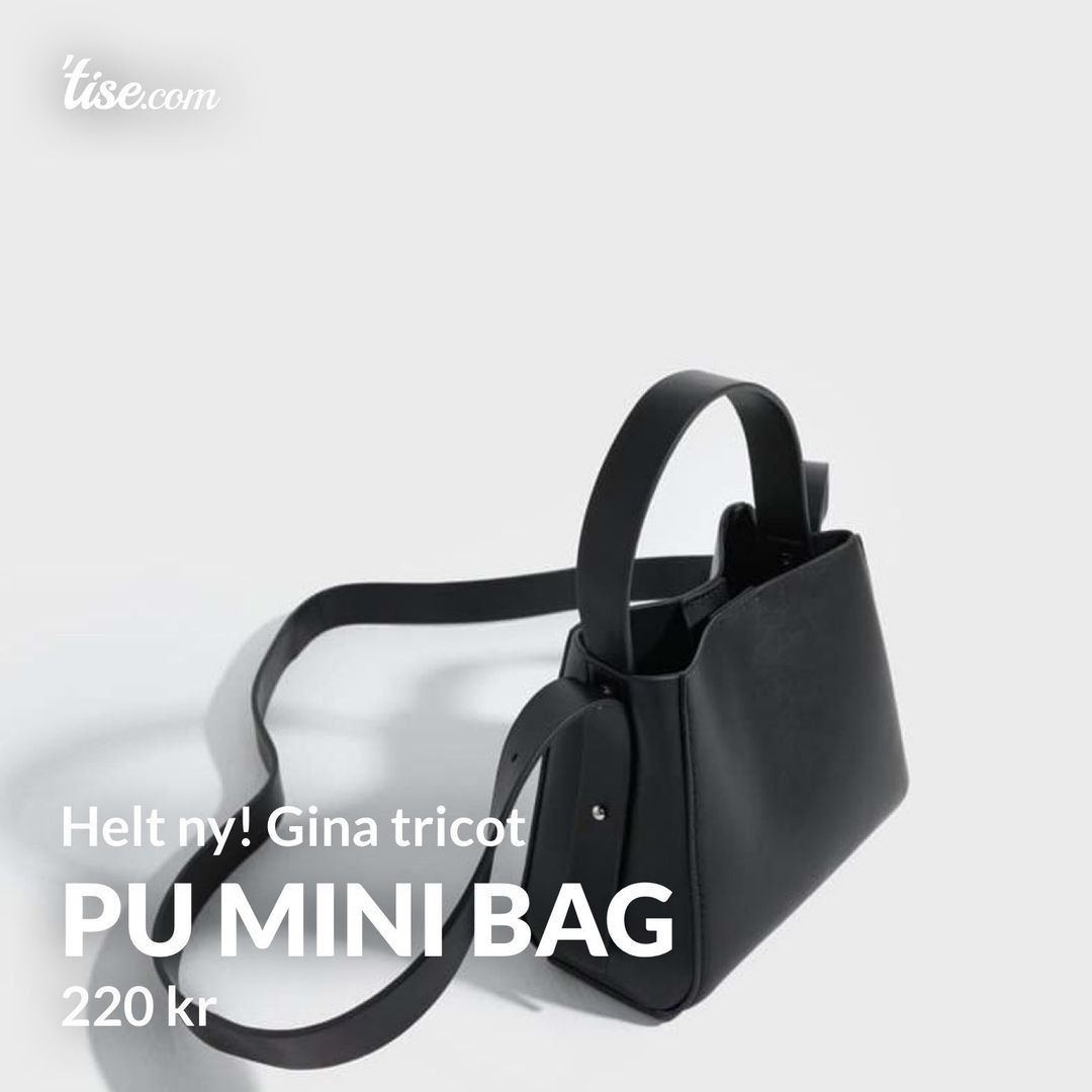 Pu mini bag