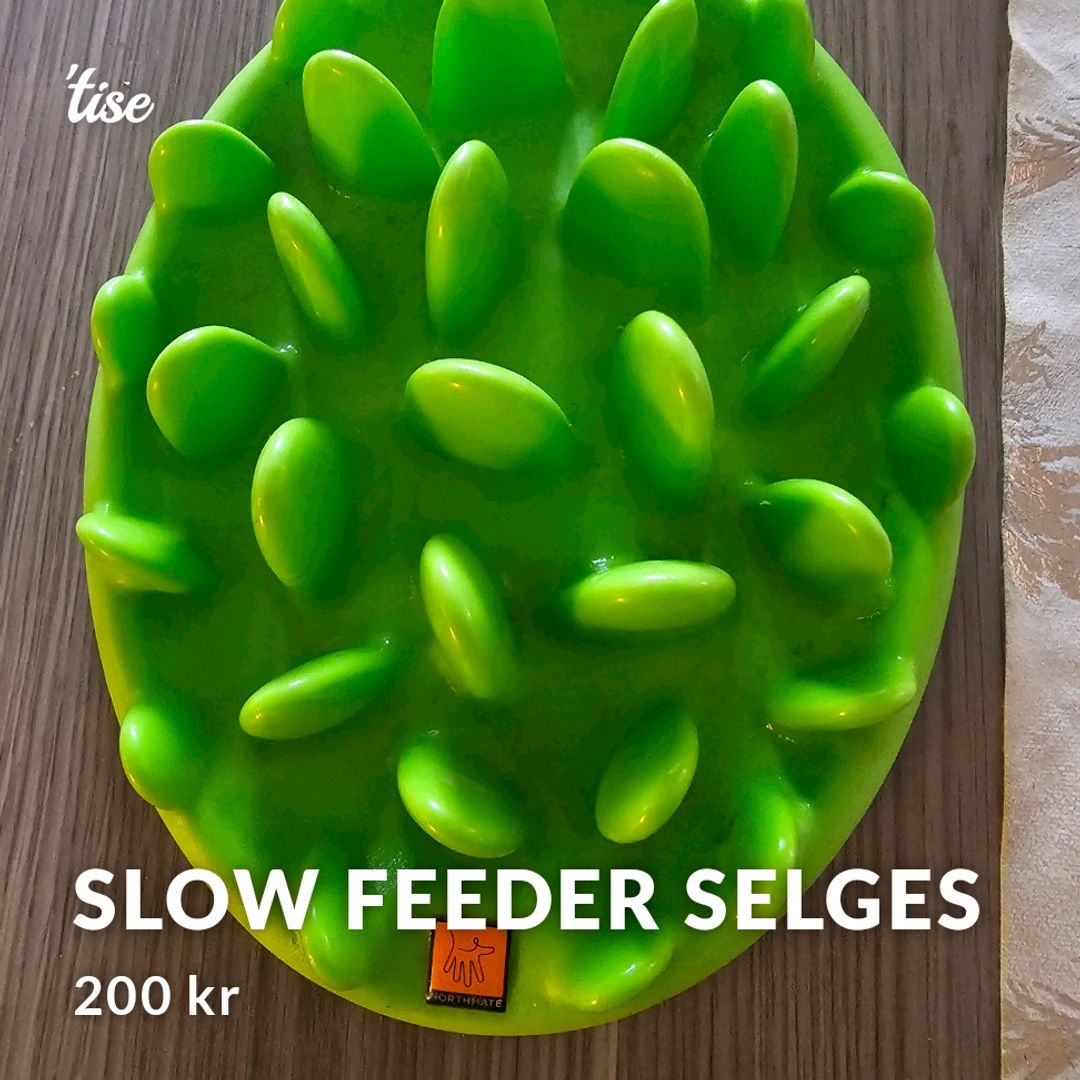 Slow Feeder Selges