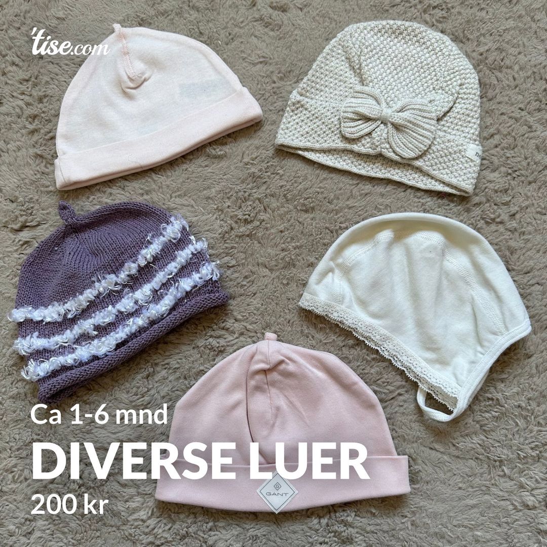 Diverse luer