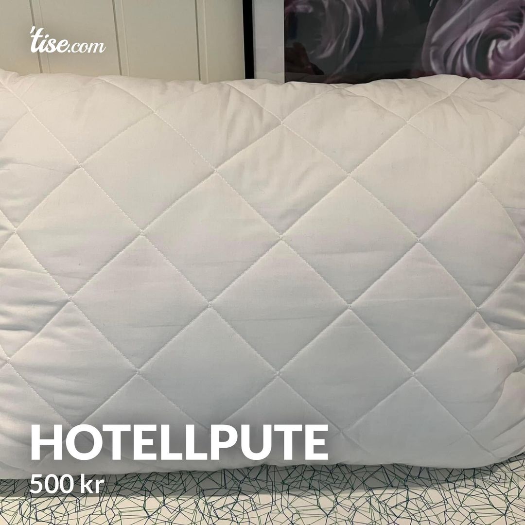 Hotellpute