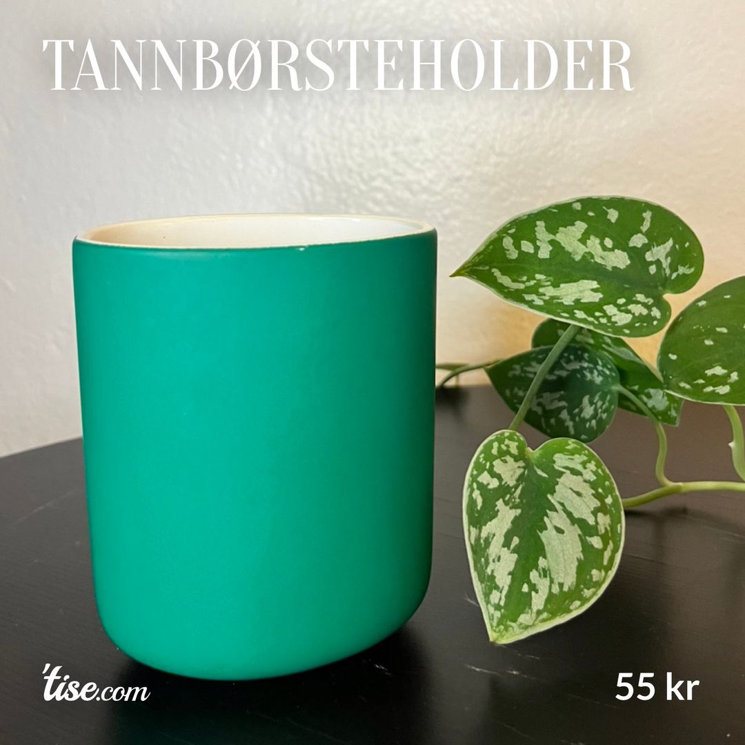 Tannbørsteholder