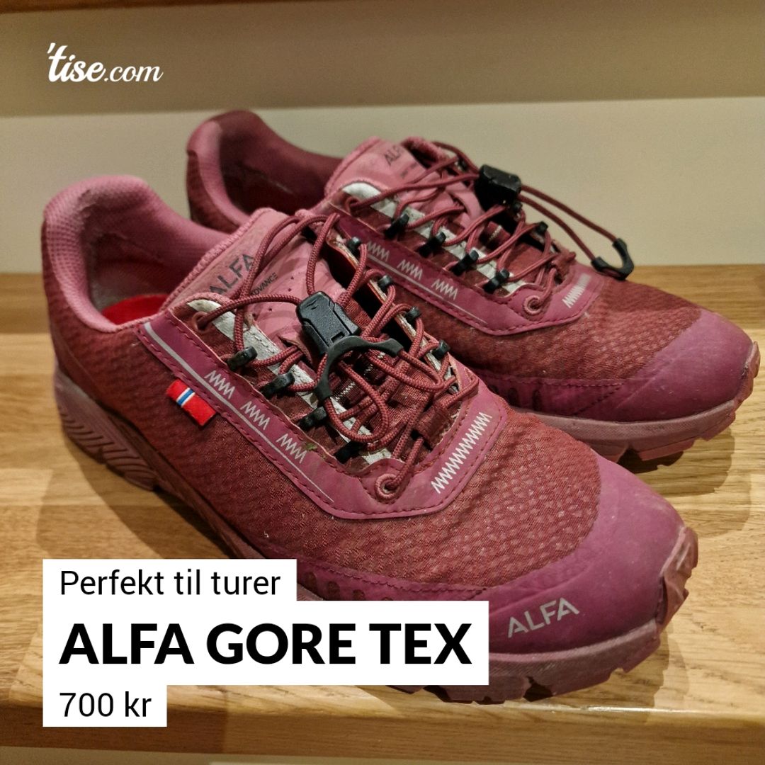 Alfa Gore Tex